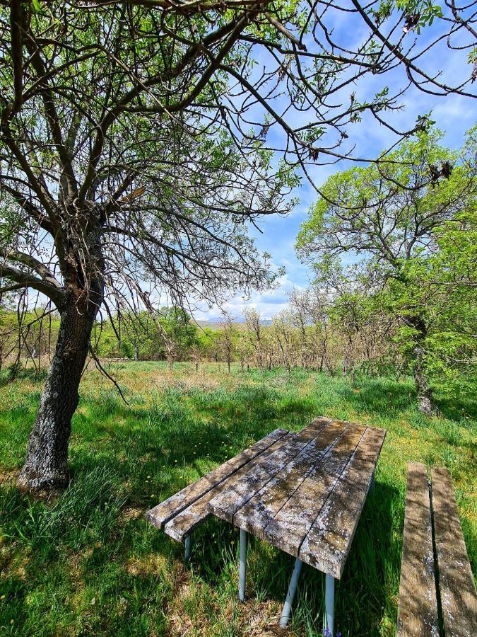 Acogedora Y Romantica Casita En La Sierra Garganta De Los Montes Exteriör bild