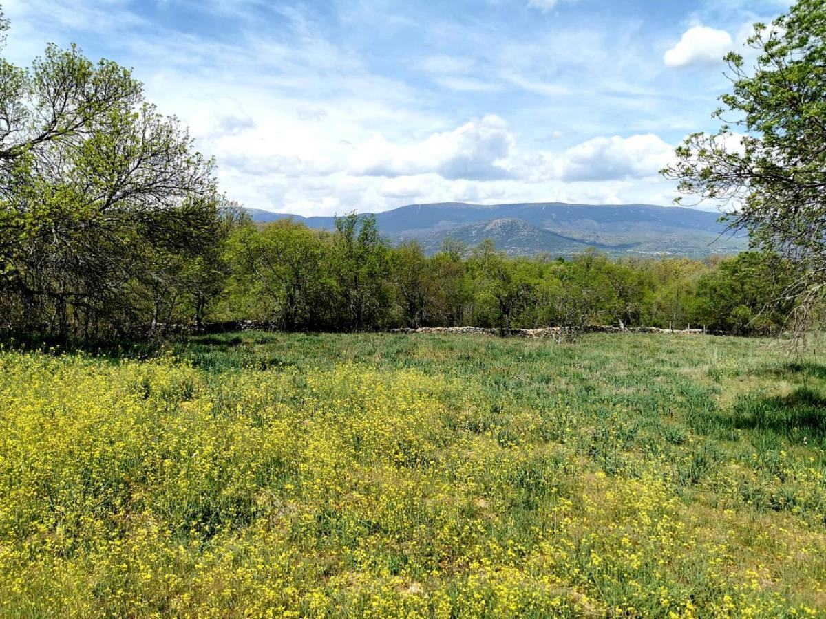 Acogedora Y Romantica Casita En La Sierra Garganta De Los Montes Exteriör bild