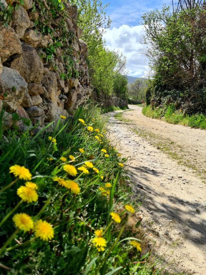 Acogedora Y Romantica Casita En La Sierra Garganta De Los Montes Exteriör bild