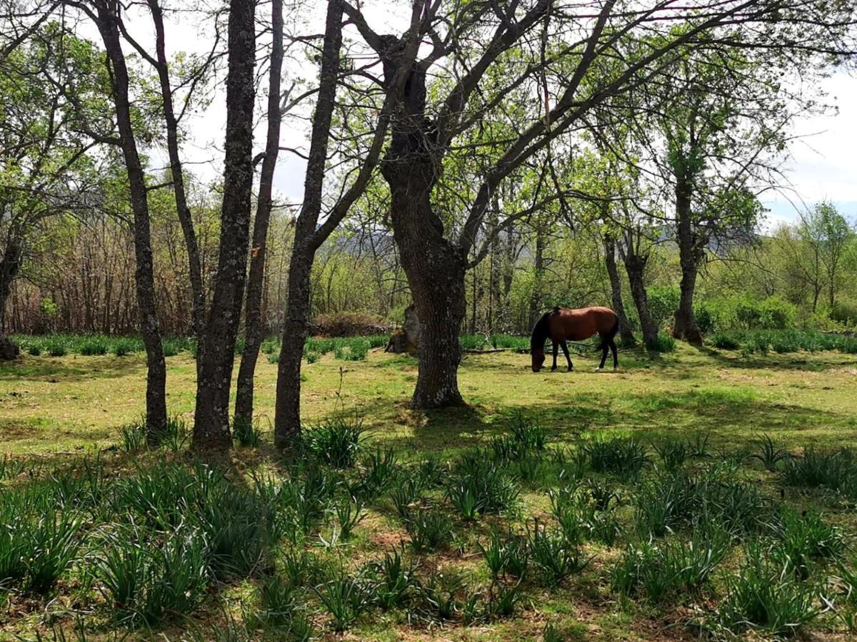 Acogedora Y Romantica Casita En La Sierra Garganta De Los Montes Exteriör bild